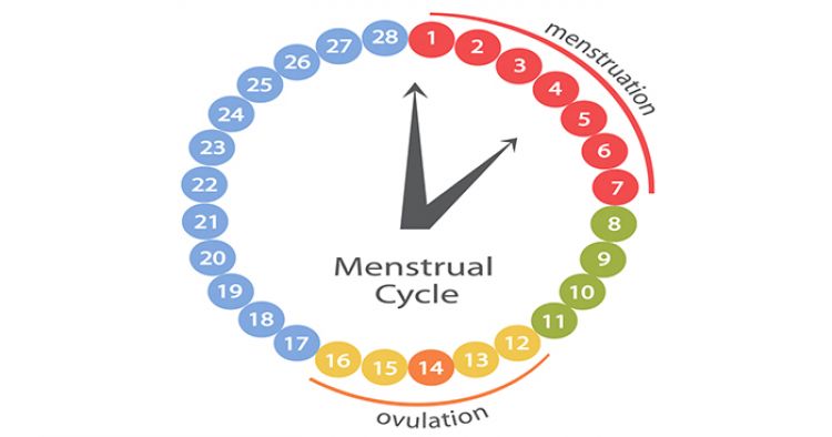 मासिक धर्म(माहवारी) | Periods (Menstruation)
