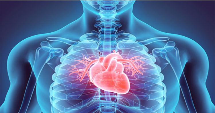 हृदय रोग (Heart Disease) - कोरोनरी (हृदय) धमनी रोग क्या है, कारण और रोकथाम