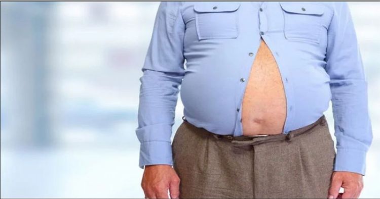 मोटापा (अधिक वजन) (Obesity)क्या है - मोटापा बढने के कारण, उससे होने वाले रोग,इलाज और बचाव