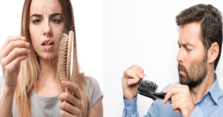 बाल गिरने के कारण | बालों को गिरने से रोकने का घरेलु इलाज